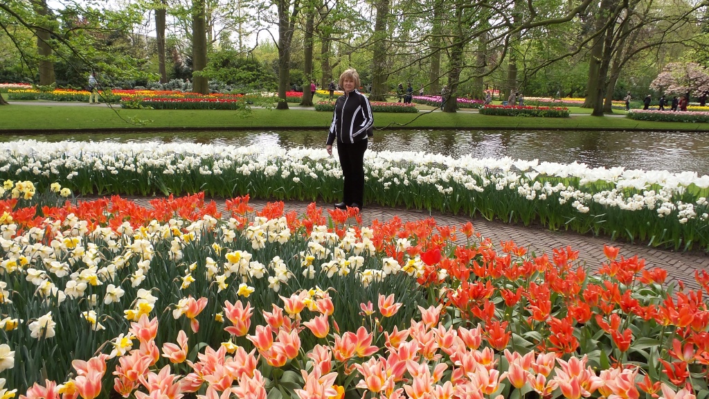 2014-04-17 Holland Tulips 53.jpg